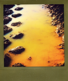 trace dijon - vendu Polaroid original de François Rastoll signé au dos
couleur
Référence  : projet108