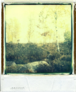 L'aura mystèrieuse des fées  N°4 - Vendu

Polaroid original de François Rastoll signé au dos
couleur
Référence  : projet122