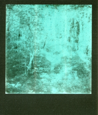 Dans les bois - 100€ TTC Polaroid original de François Rastoll signé au dos
couleur
Référence  : projet119