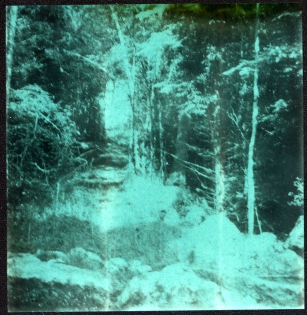 Dans les bois - 100€ TTC Polaroid original de François Rastoll signé au dos
couleur
Référence  : projet121